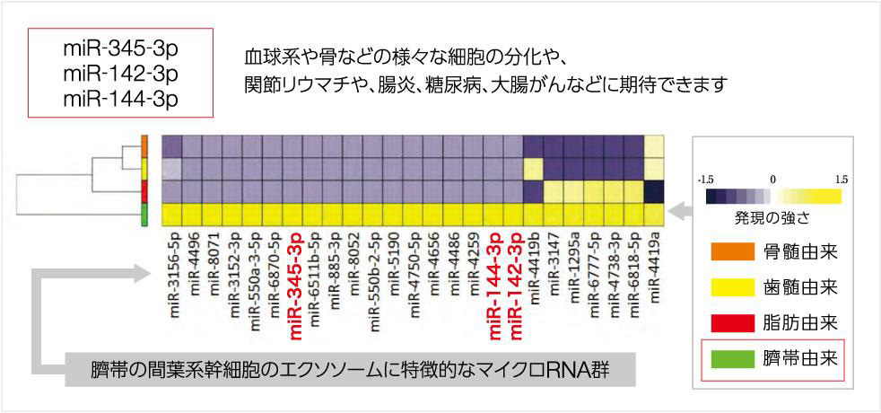 エクソソームとは